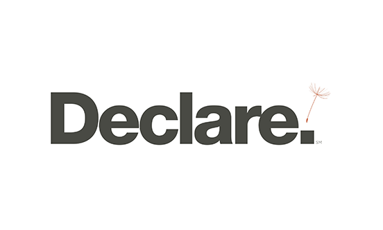 Declare logo