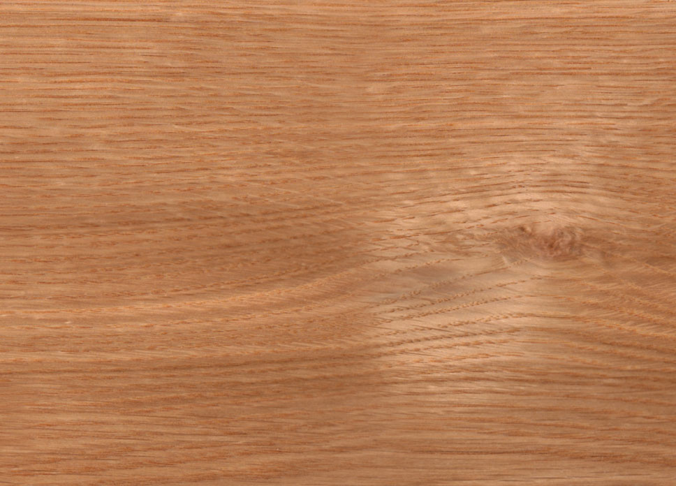 White Oak Swatch